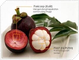 Cepat Menghilangkan Benjolan Wasir